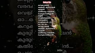 Druvamyoutubeshortsmusiclyrics malayalamsonglyrics lyiricslovesongsyoutubevideolove [upl. by Starlin]