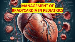 MANAGEMENT OF BRADYCARDIA IN PEDIATRICS [upl. by Scrivenor320]