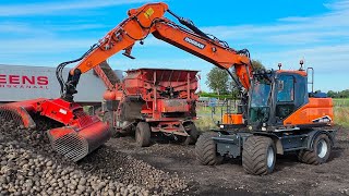 Aardappelen opladen met Doosan DX 160 W door Behling uit Onstwedde 4K [upl. by Kravits]