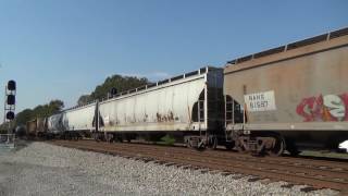 NS 8506 GE C4085W leads NS V17 [upl. by Lavery]