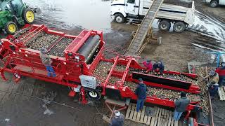 A Birds Eye View of A Milestone Potato Seed Cutter [upl. by Ettebab]