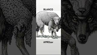 BLANCO APROZAR LEAKK [upl. by Tila111]