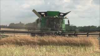 Direct Cut Winter Canola Harvest Hopkinsville KY [upl. by Einneb]