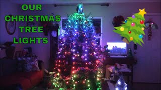 Our Christmas Tree Light Show [upl. by Aneev59]