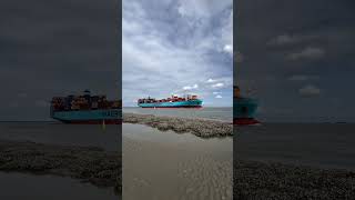 MAERSK LINE  MAERSK HORSBURG SHIP  CONTAINER SHIP MAERSK shorts ytshorts [upl. by Bobbye]