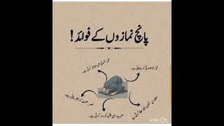 پانچ نمازوں کے فوائد نماز کا اہتمام کیا ہے ، [upl. by Nelyahs]