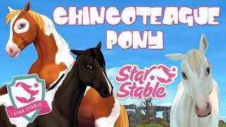 SSO CHINCOTEAGUE PONY  STAR STABLE ONLINE UPDATE [upl. by Calvina]