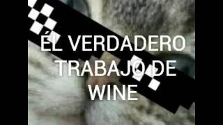 Él verdadero trabajo de Wine XD [upl. by Helve]