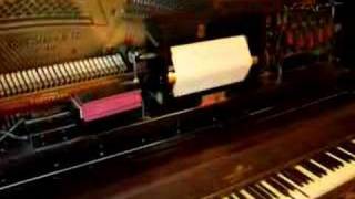 player piano [upl. by Aivin230]