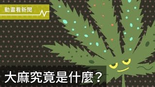 不過大麻究竟是什麼？ [upl. by Gale]