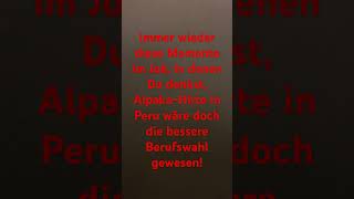 Rapunzula‘s Spruch 322 [upl. by Pacificia511]