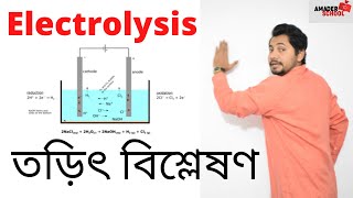 Electrolysis  SSC Chemistry  তড়িতবিশ্লেষণ  Fahad Sir [upl. by Notkcorb]