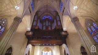 Saint Patricks Cathedral  Curbed Tours [upl. by Burtis782]