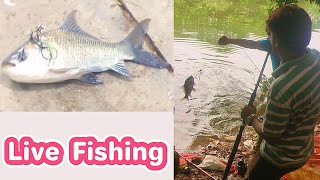 Live Fishing Show From The Lake Park Riverside 🐟🎣 Chefs Online [upl. by Niltyak274]