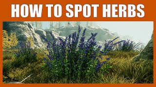 What Do Herbs Look Like In New World  How To Find Herbs  Where To Farm Herbs New World [upl. by Davis471]