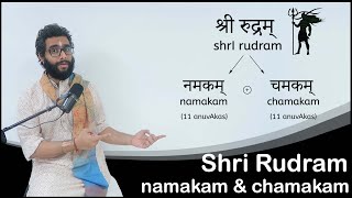 Learning the Concepts of Shri Rudram  Namakam and Chamakam [upl. by Olocin]