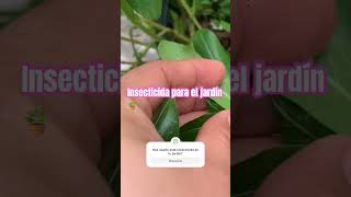 INSECTICIDA PROGARDEN H24 PARA JARDIN [upl. by Ingemar]