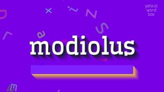 MODIOLUS  How to pronounce Modiolus [upl. by Eckhardt]