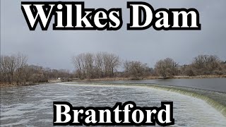 Spring Equinox Walk Along Wilkes Dam Trail  Brantford Ontario Canada 8k Video [upl. by Maillil]