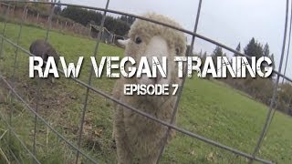 Out to Pasture Volunteer Day  Raw Vegan Training [upl. by Ahsinrad]