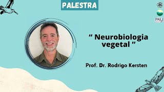 Palestra 14 Neurobiologia Vegetal [upl. by Molini]