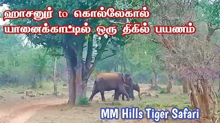 Hasanur to Kollegala Dense Forest Drive  Lokkanahalli PG Palya Wildlife Safari  Jolly Trip [upl. by Park570]