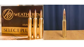 65300 Weatherby vs 270 Winchester Magnum Madness Part 6 [upl. by Cariotta]