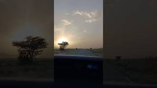 Road trip sudest Morocco Rissani alnif newsong love hindisong [upl. by Pepe663]