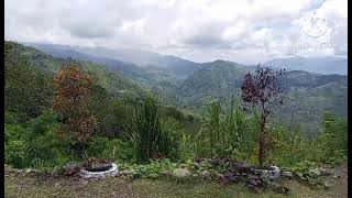 MOUNTAIN VIEW OF MARILOG [upl. by Deibel]