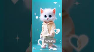 Pet dance 🩰 cat cutecatdancing petdance shortsfeed shortvideo viralshort catvideos lovecats [upl. by Marr654]