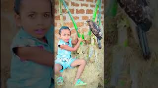 Tate mo rana deli baichadhei ll odia song status [upl. by Ayom2]