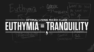 Micro Class Euthymia  Tranquility [upl. by Ragouzis]