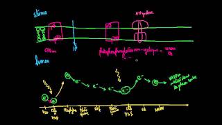 Photosynthèse  réactions dépendante de la lumière et phosphorylation [upl. by Baal]