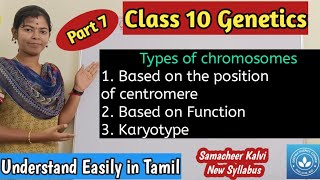 Types of Chromosomes based on the position of centromere and based on the function Karyotype [upl. by Christine]