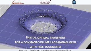 Optimal transport for fluid simulations  Bruno Levy  Shape seminar [upl. by Linker810]