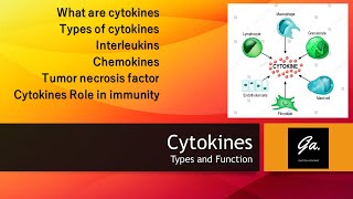 CYTOKINES Interleukins and their functions Interferons Chemokines Immunology [upl. by Ainnet]