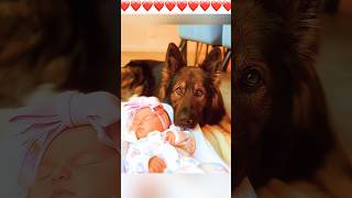 😍Dogs love children ❤️🐶❤️ doglover dog dogs doglovers shortsvideo short fypシ゚viral [upl. by Rehpotirhc272]