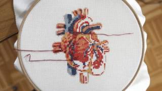 Cross stitch heart time lapse ° stitching of an anatomic embroidery design [upl. by Rogergcam345]