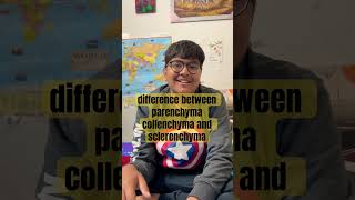 difference between parenchyma collenchyma and sclerenchymashortvideo [upl. by Setiram]