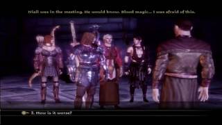 Dragon Age Origins  28 Blood Mages  Revenant Fight Human Noble [upl. by Karola93]