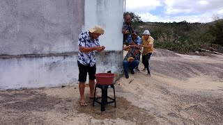 Apolinário e mais esperto que tio Chico [upl. by Nywra]