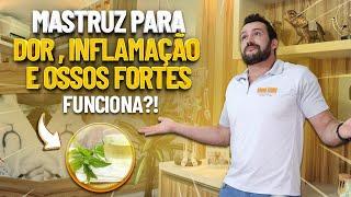 MASTRUZ PARA DOR INFLAMAÇÃO E OSSOS FORTES I Fisioprev com Guilherme Stellbrink [upl. by Pelage718]