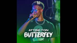 DJ ZERFLY  ATTISE TON BUTTERFLY VOL2 AFRO AMAPIANO DANCEHALL BOUYON TRAP [upl. by Yam689]