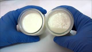 Cheese amp Yoghurt with Probind CH 20  Transglutaminase [upl. by Pris]