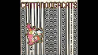 Cattanooga Cats Theme 1969 [upl. by Assadah]