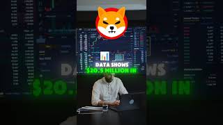 SHIB Rebound Imminent shibainus bitcoin shibainupriceprediction shibaburn cryptocurrency [upl. by Wieren]