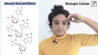 11 Biología celular Estructura y función de los Ácidos nucleicos [upl. by Whallon]