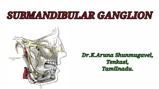 Submandibular ganglion  Roots  Branches  Development  Clinical Anatomy  Animated video [upl. by Joelynn]