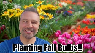 How to Plant Fall Spring Flowering Bulbs  Daffodils Tulips Muscari [upl. by Lakim]