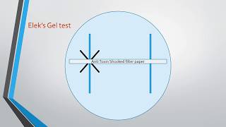 Diphtheria and Elek’s Gel Precipitation test [upl. by Jennine248]